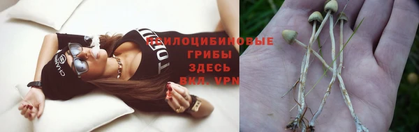 каннабис Хадыженск