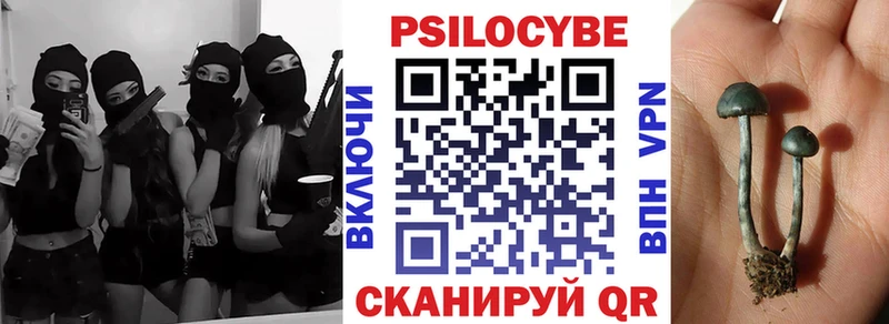 Купить  Устюжна  Галлюциногенные грибы мицелий 